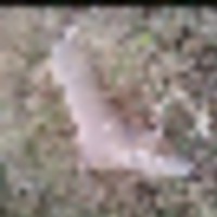 de37983d-73af-4445-93d3-3455b55dfb69__resize-thumb