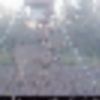 deer_6__resize-thumb