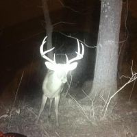 Kitterlin Creek Outfitters (A Show Up & Shoot Hunting Club)