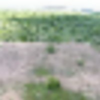 dji_0579__resize-thumb