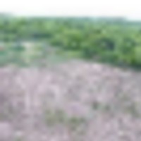dji_0581__resize-thumb