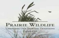 Prairie Wildlife