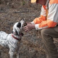 Low country South Carolina: Seeking new members!