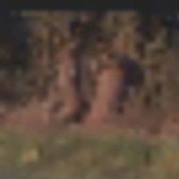 e48fa03b-4649-4fc6-943d-4e8d44412461__resize-thumb