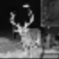e593ff79-88e0-4042-8b56-38a80093761e__resize-thumb