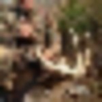 e60cf714-c17b-4527-8dd2-d7469b0be626_4_5005_c-150x150__resize-thumb