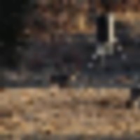 e7bb29b492654e889a6cf796fcf33fc8.large___resize-thumb