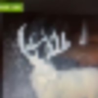 e92c6b27-1301-4517-8a2f-754dddb61e5b__resize-thumb