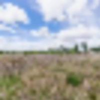 East Orchard Mesa Paradise Acres images 2