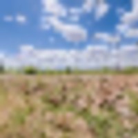 East Orchard Mesa Paradise Acres images 3