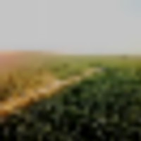 Eastern Colorado Irrigated Farm images 1