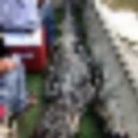 ebfff814-d952-4da5-b36c-25c0d67e2400__resize-thumb