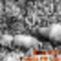 elk-hunting-outfitter__resize-thumb