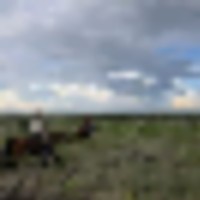 f07318f9-8ef5-4cc6-a29f-9ddc00f6faa5__resize-thumb