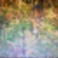 f5bd9502-406a-4e52-a1ef-ffdcdc44d714__resize-thumb
