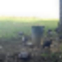 face3e83-c60c-481f-8d04-9a47cd2162fa__resize-thumb