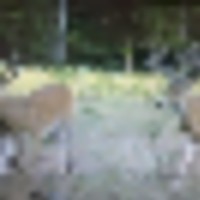 fb120967-696a-4734-a0f3-089202af01a9__resize-thumb