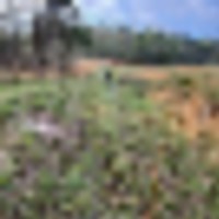 field_view_back_field__resize-thumb