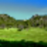 Forest Park Ranch images 3
