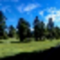 Forest Park Ranch images 4