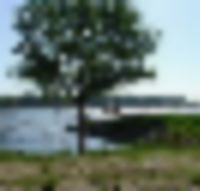 Deer Hunting Land Kaw River State Park 76 acres in Topeka, KS images 3