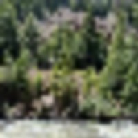 000 TBD Minturn images 5