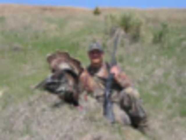 Mule, Whitetail and Turkey From $225/Day featured image