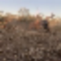 hat_ranch_buck_-_201910__resize-thumb