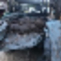 hogs_11__resize-thumb