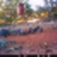 hogs__resize-thumb