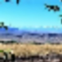 Hulteen Orchards
