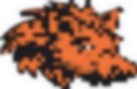 No Boar’Dom Guide Service