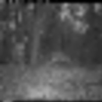 image000001-2__resize-thumb