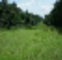 image7s__resize-thumb