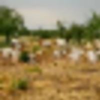 image_16__resize-thumb