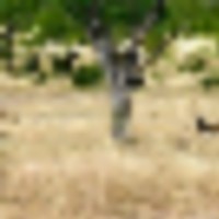 image_17__resize-thumb