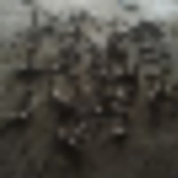 image_33__resize-thumb