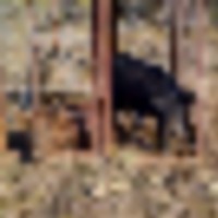 image_35__resize-thumb