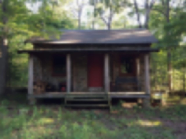 Northern Ozarks Hunting with Rustic Cabin featured image