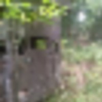 Northern Ozarks Hunting with Rustic Cabin