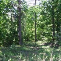 New Oxford, MS QDM Hunting Club