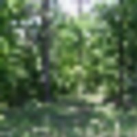 New Oxford, MS QDM Hunting Club