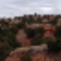 image_77__resize-thumb