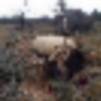 image_8__resize-thumb