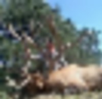 images__resize-thumb