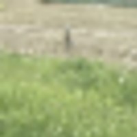 img-0349__resize-thumb