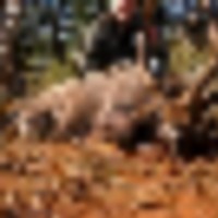 img-20210513-wa0008__resize-thumb