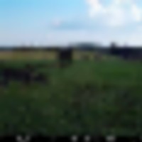 img_0003__resize-thumb