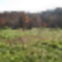 img_0075__resize-thumb