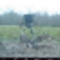 img_0114__resize-thumb